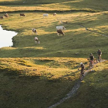 Lejlighed Hollin By We Rent Saalbach-Hinterglemm