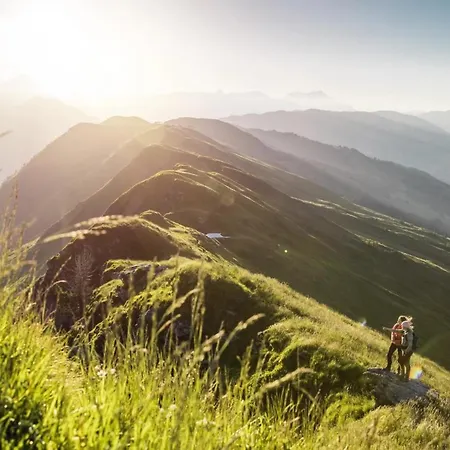 Hollin By We Rent Apartment